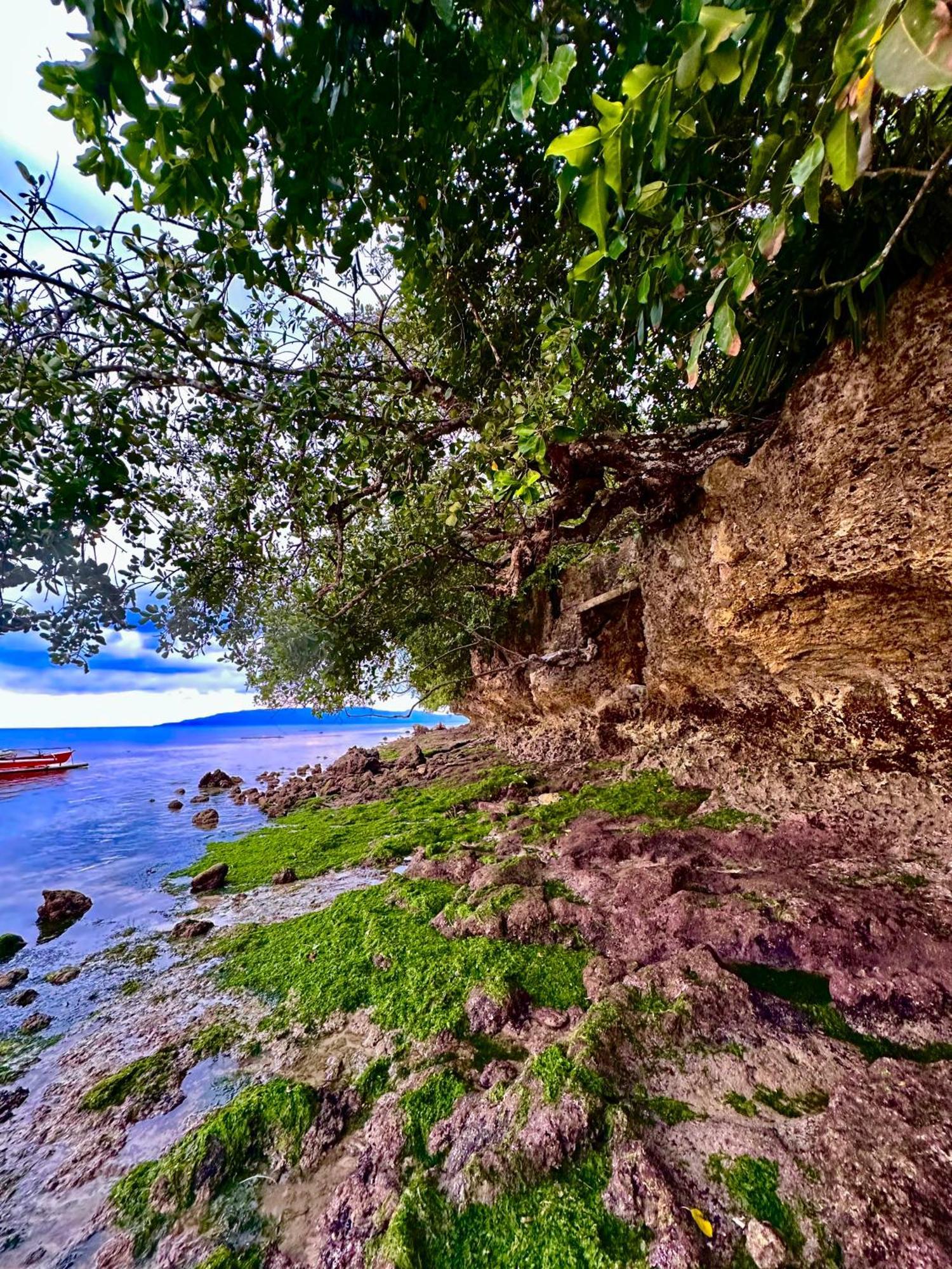 Sapphire Boutique Resort Panglao Zewnętrze zdjęcie